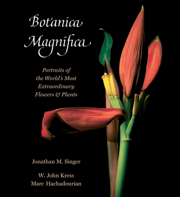 Book cover of: Botanica Magnifica. By: Jonathan Singer