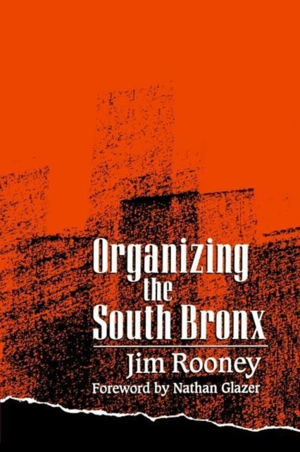 Book cover of: Organizing the South Bronx