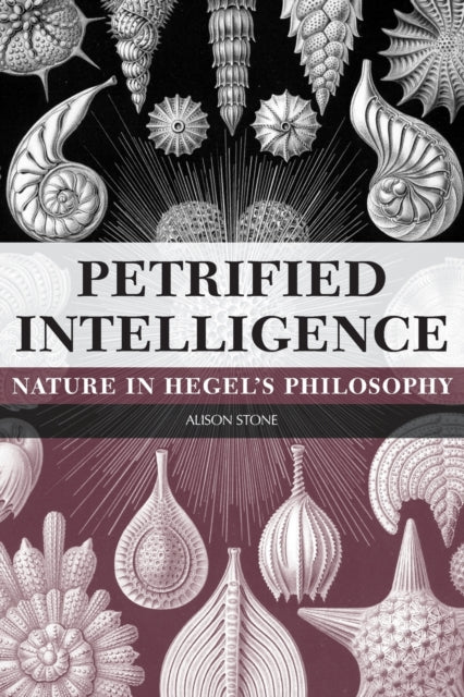 Book cover of: Petrified Intelligence. By: Alison Stone