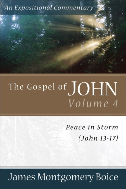 Book cover of: Gospel of John – Peace in Storm (John 13–17)