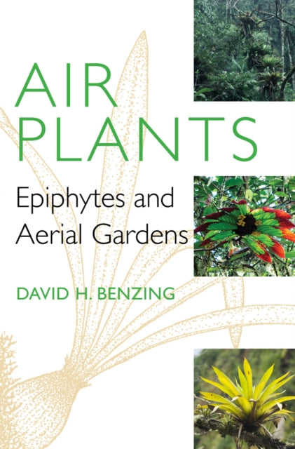 Book cover of: Air Plants. By: David H. Benzing