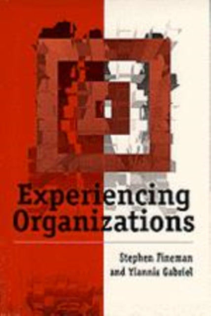Book cover of: Experiencing Organizations