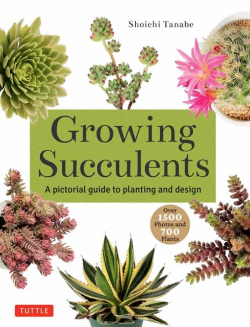Book cover of: Growing Succulents. By: Tanabe Shoichi