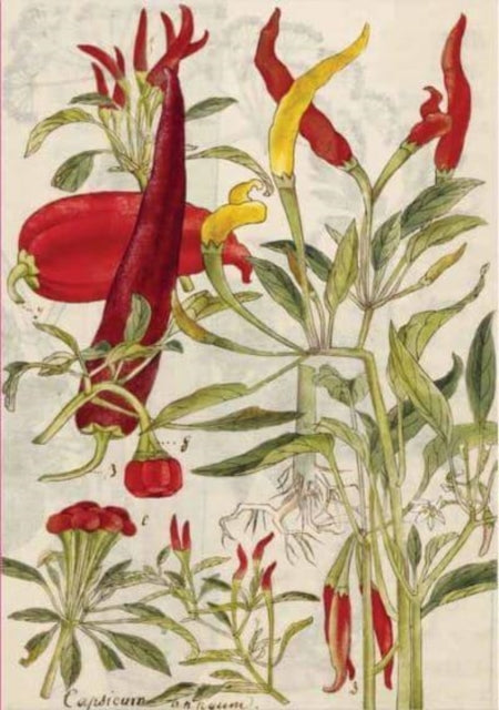 Book cover of: Chili Peppers & Shiso Leaves Blank Hardcover Journal. By: Tuttle Tuttle Studio