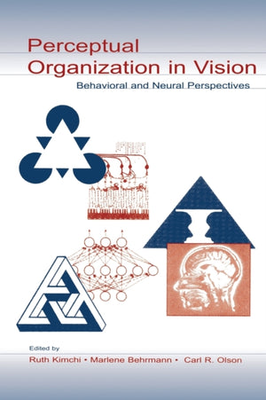 Perceptual Organization in Vision