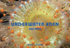 Book cover of: Underwater Eden: 365 Days. By: Jeff Rotman