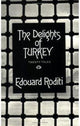 Book cover of: Delights of Turkey: Stories