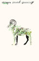 Book cover of: Chimera. By: Phoebe Gianissi