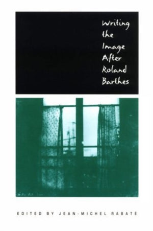 Writing the Image After Roland Barthes