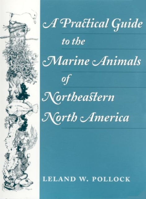 Book cover of: Practical Guide to the Marine Animals of Northeastern North America