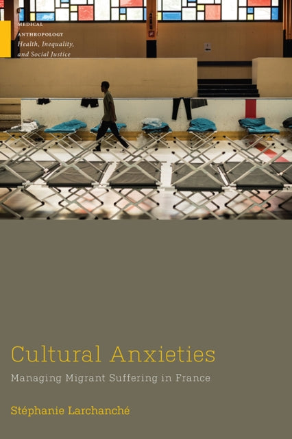 Book cover of: Cultural Anxieties. By: Stéphanie Larchanche