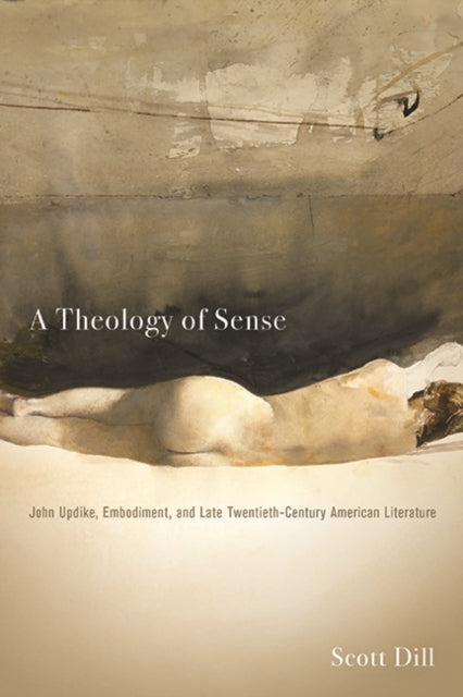 Book cover of: Theology of Sense. By: Scott Dill