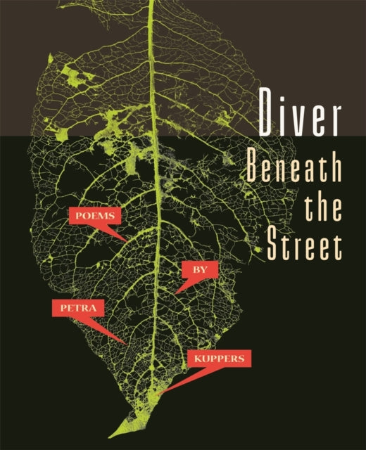 Book cover of: Diver Beneath the Street. By: Petra Kuppers