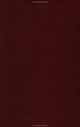 Book cover of: Cultural and Literary Critiques of the Concepts of Race