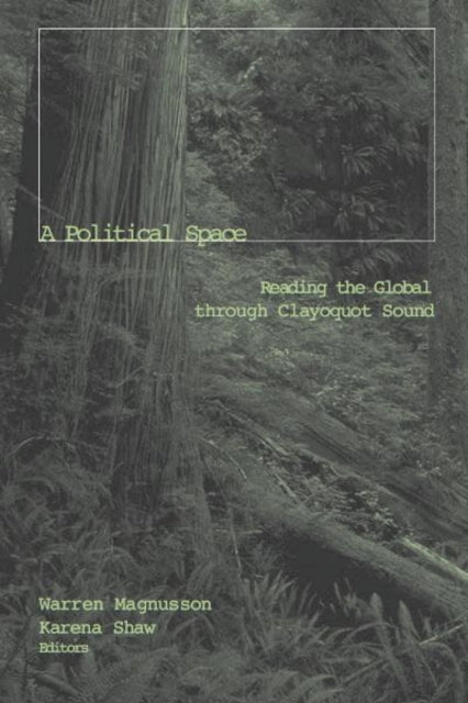 Book cover of: a Political Space
