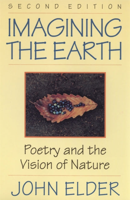 Book cover of: Imagining the Earth