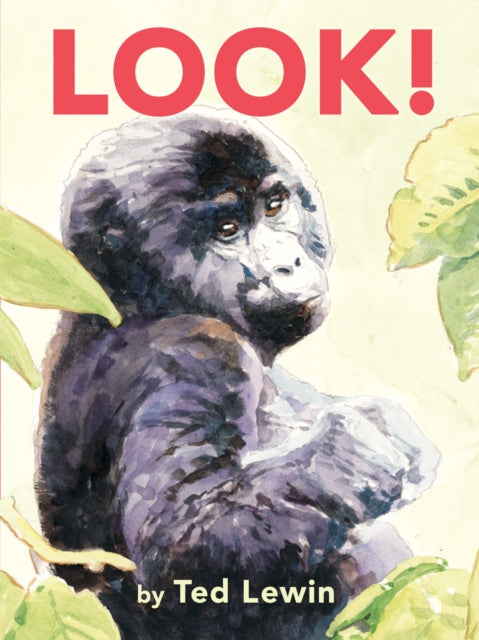 Book cover of: Look!. By: Ted Lewin