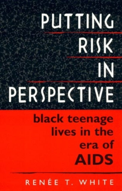 Book cover of: Putting Risk in Perspective