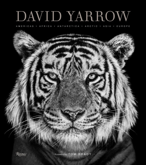 David Yarrow Photography, Americas Africa Antarctica Arctic Asia Europe 9780847864775 David Yarrow