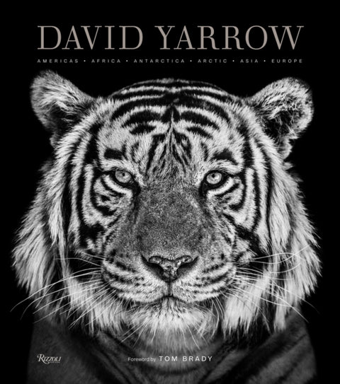 David Yarrow Photography, Americas Africa Antarctica Arctic Asia Europe