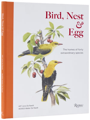 Bird, Nest & Egg