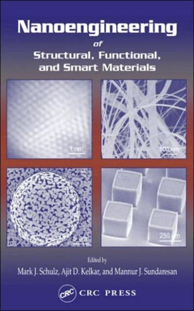 Book cover of: Nanoengineering of Structural, Functional and Smart Materials