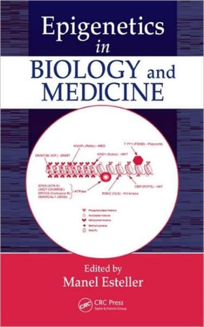 Book cover of: Epigenetics in Biology and Medicine. By: Manel Esteller