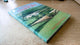 Book cover of: History of Chagford