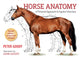 Book cover of: Horse Anatomy. By: Peter C. Goody