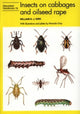 Book cover of: Insects on cabbages and oilseed rape. By: William D.J. Kirk