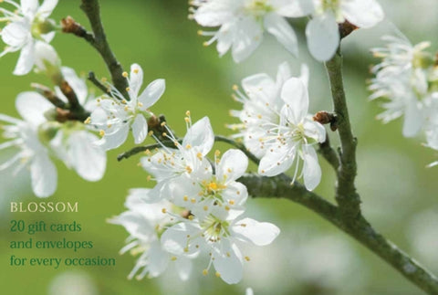 Blossom