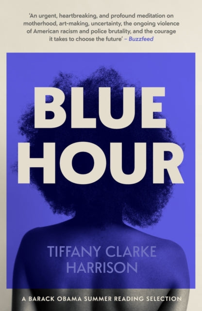 Book cover of: Blue Hour. By: Tiffany Clarke Harrison