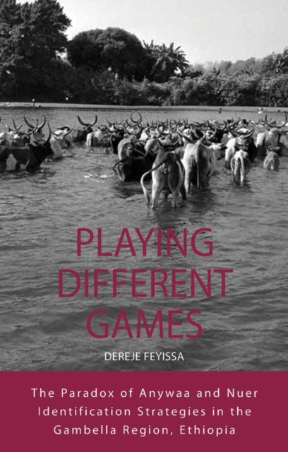 Book cover of: Playing Different Games. By: Dereje Feyissa