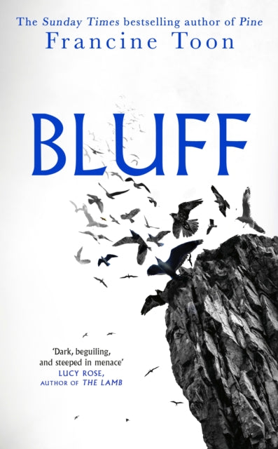 Book cover of: Bluff
