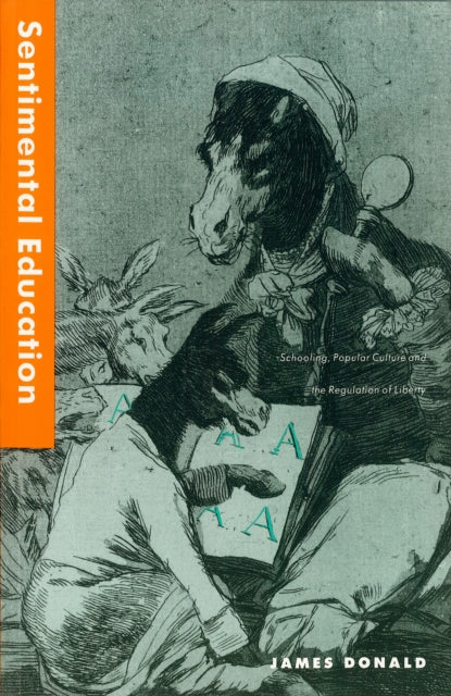 Book cover of: Sentimental Education