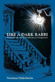 Book cover of: Like a Dark Rabbi. By: Norman Finkelstein