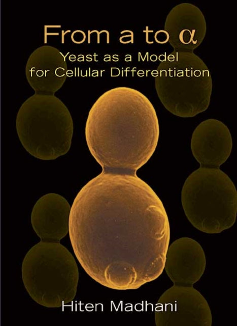 Book cover of: From a to Alpha. By: Hiten D. Madhani