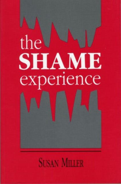 The Shame Experience