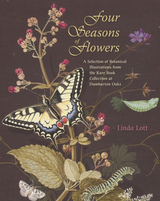 Book cover of: Four Seasons of Flowers. By: Linda Lott