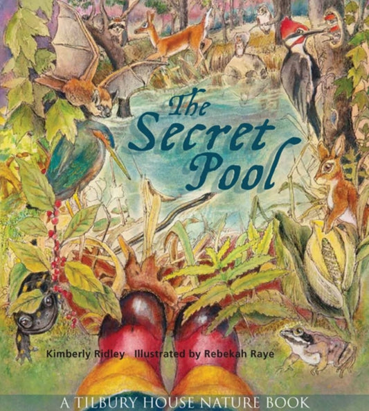 Book cover of: Secret Pool. By: Kimberly Ridley