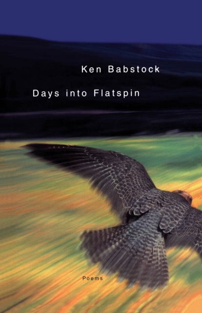 Book cover of: Days into Flatspin