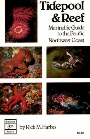 Tidepool & Reef
