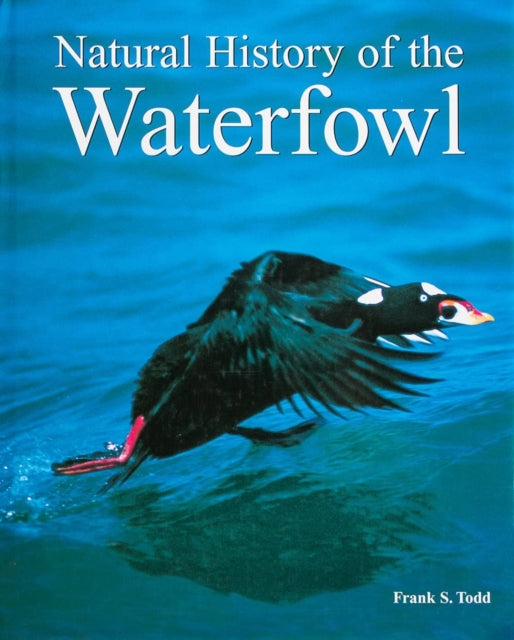 Book cover of: Natural History of the Waterfowl. By: Frank Todd