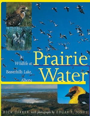 Prairie Water