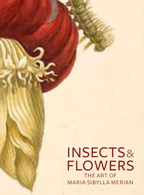 Book cover of: Insects and Flowers – The Art of Maria Sibylla Merian. By: Maria Sibylla Merian