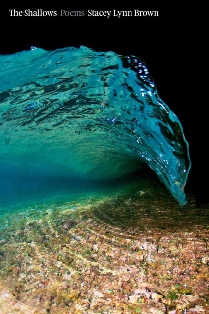 Book cover of: Shallows. By: Stacey Lynn Brown