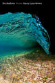 Book cover of: Shallows. By: Stacey Lynn Brown