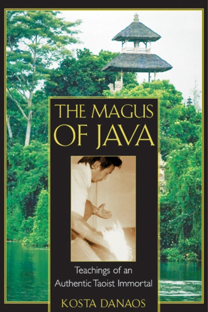 Book cover of: Magus of Java