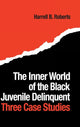 Book cover of: Inner World of the Black Juvenile Delinquent