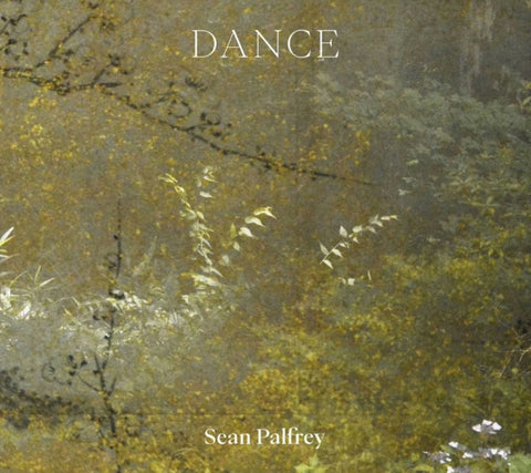 Sean Palfrey: Dance